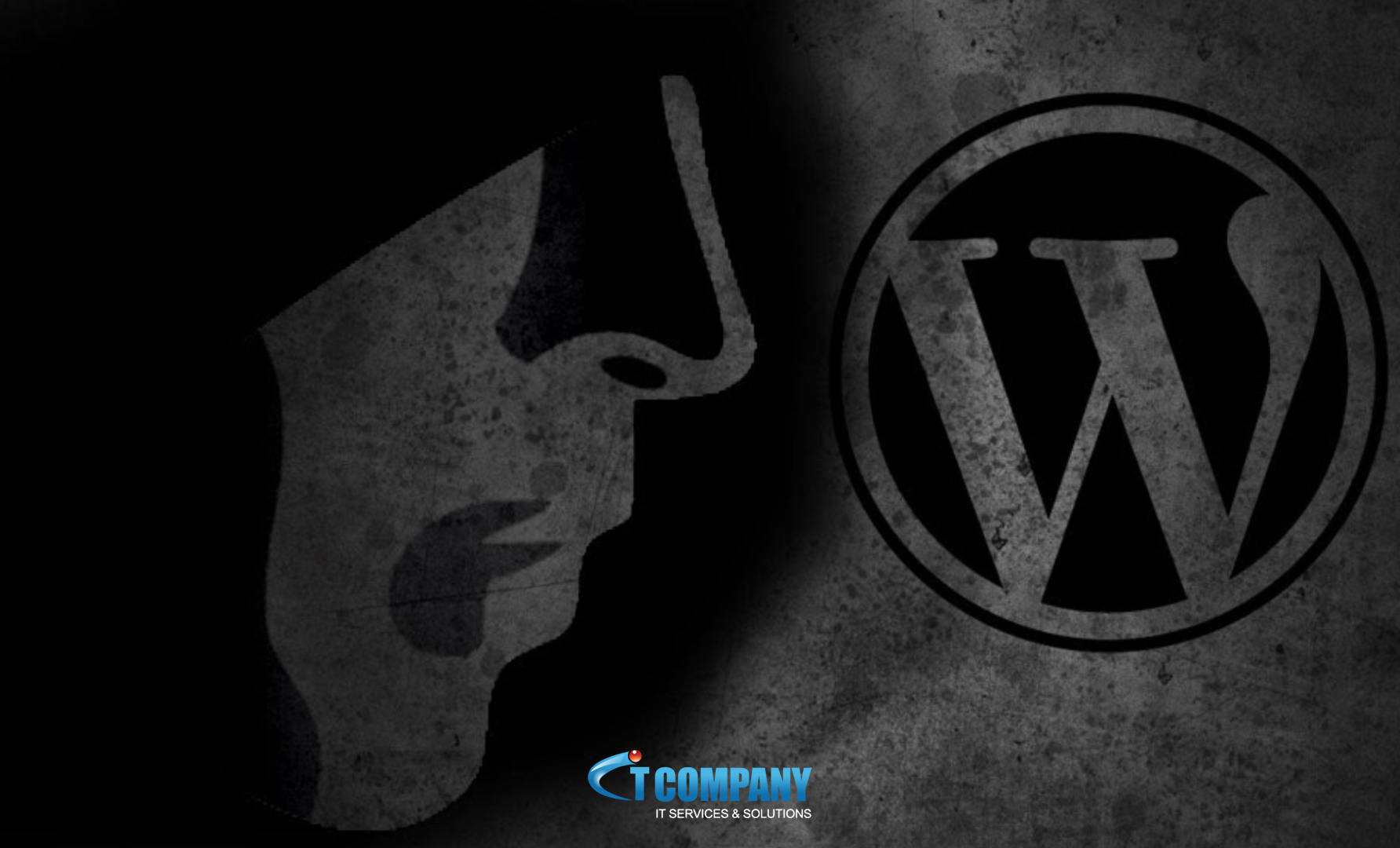 WordPress: PayPal phishing kit is boosting hacked WordPress sites