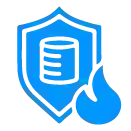 Rapid Disaster Recovery